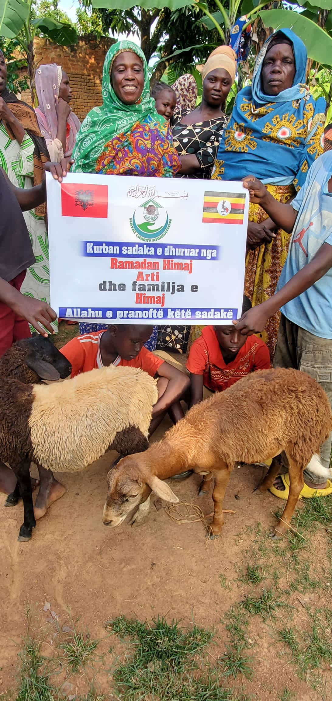 Qurbani Sacrifices